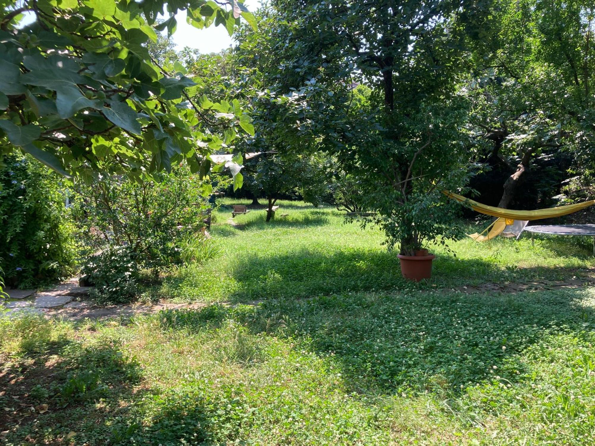 Green Oasis On Water In The Center Of מילאנו מראה חיצוני תמונה