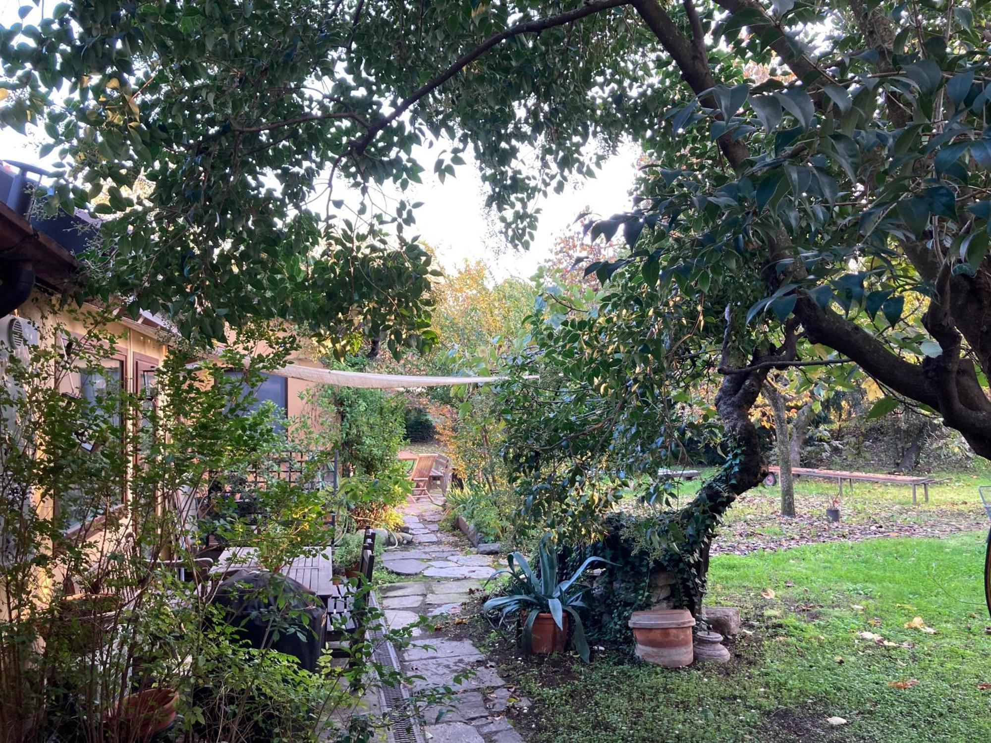 Green Oasis On Water In The Center Of מילאנו מראה חיצוני תמונה